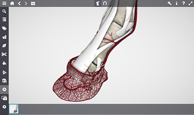 Image layer